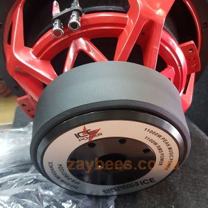 Ice Power pro series 12" DVC subwoofer (11000W)