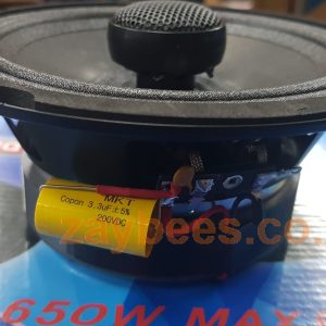Ice Power IPS65HQ 650W 6.5" 2WAY co axial speaker