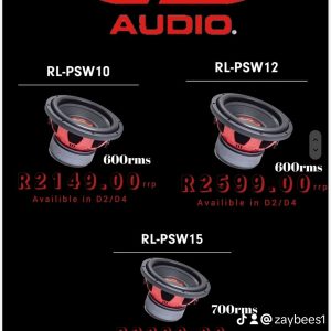 Digital Designs RL-PSW12-D4/D2 subwoofer
